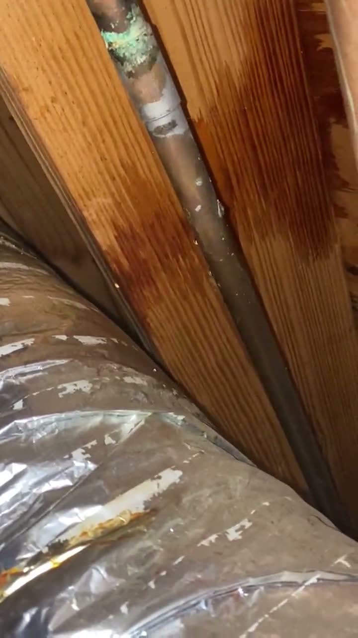 Water leak traced in a crawlspace: stained joists and corroded copper